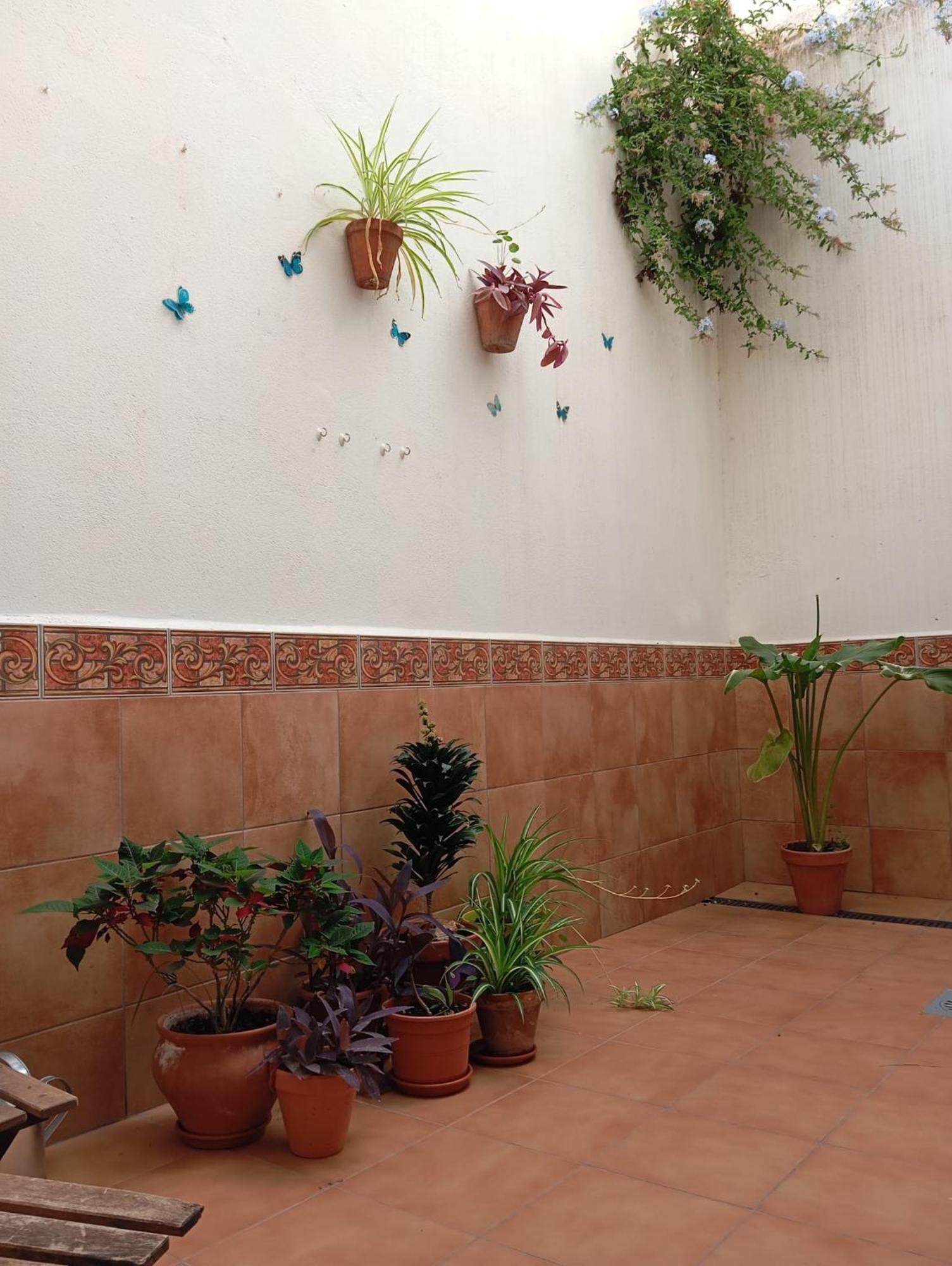 Apartamento Amapola Malaga Ngoại thất bức ảnh